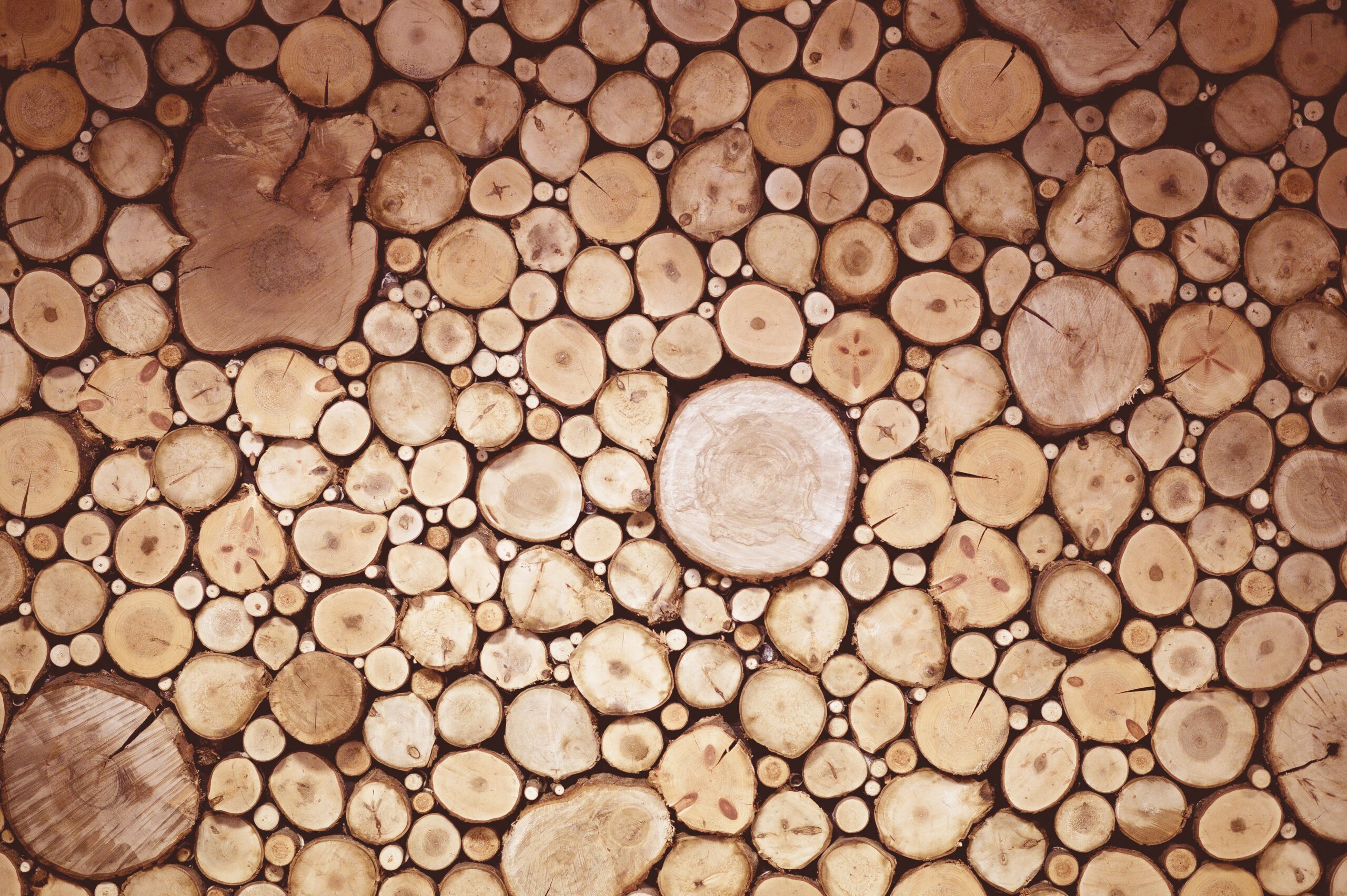 Descubre más sobre nosotros